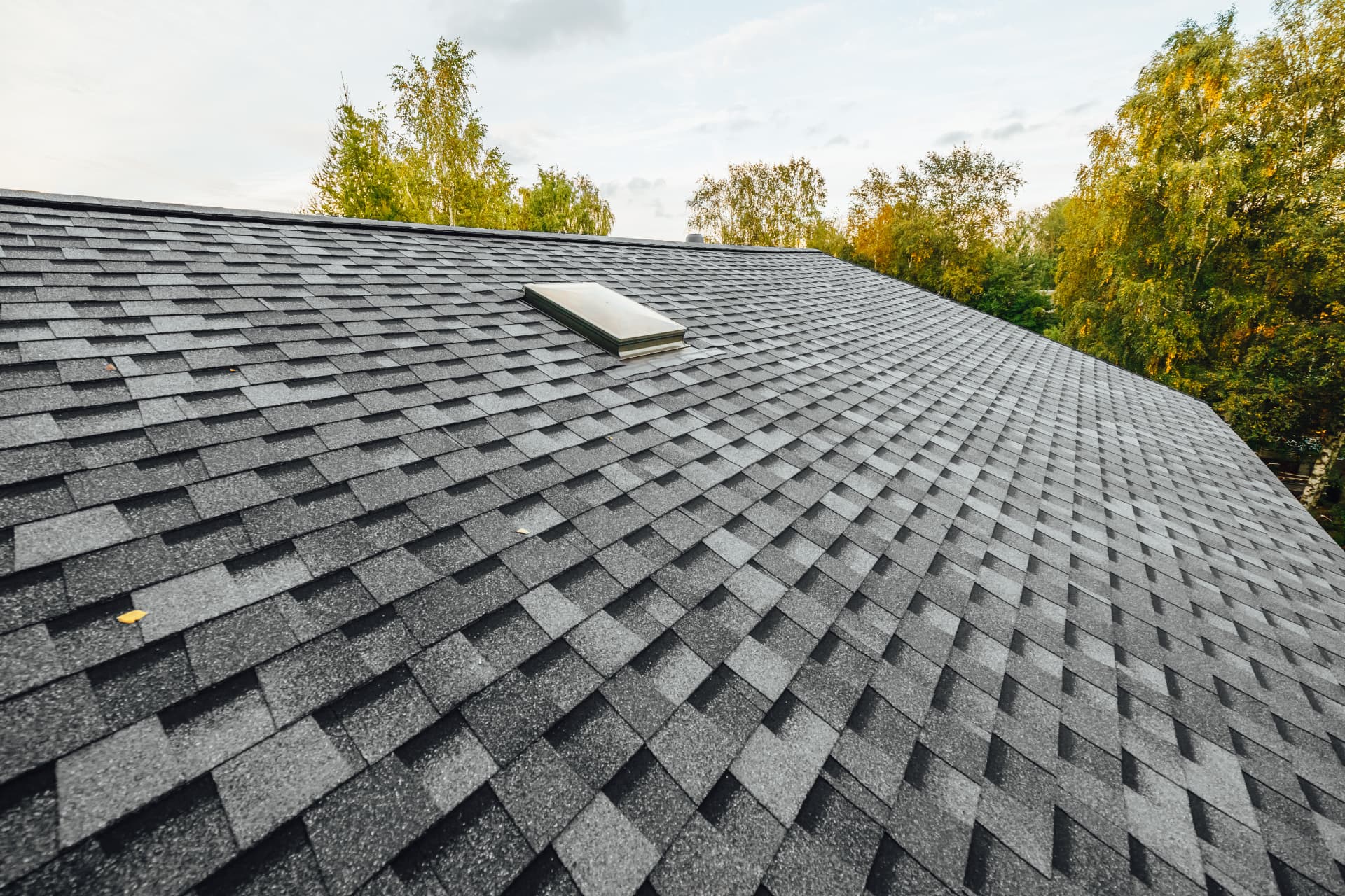 Close-up of a dark architectural asphalt shingle roof with a skylight